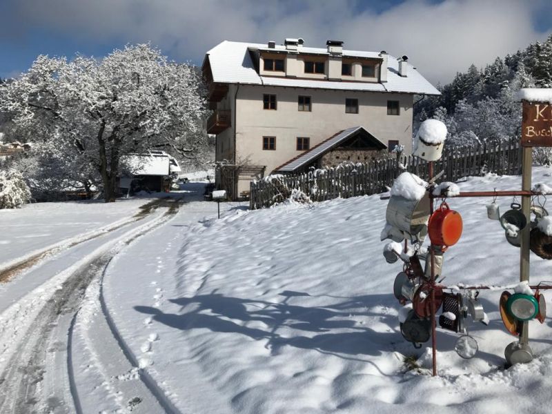 Coronavirus - notizie da Signato